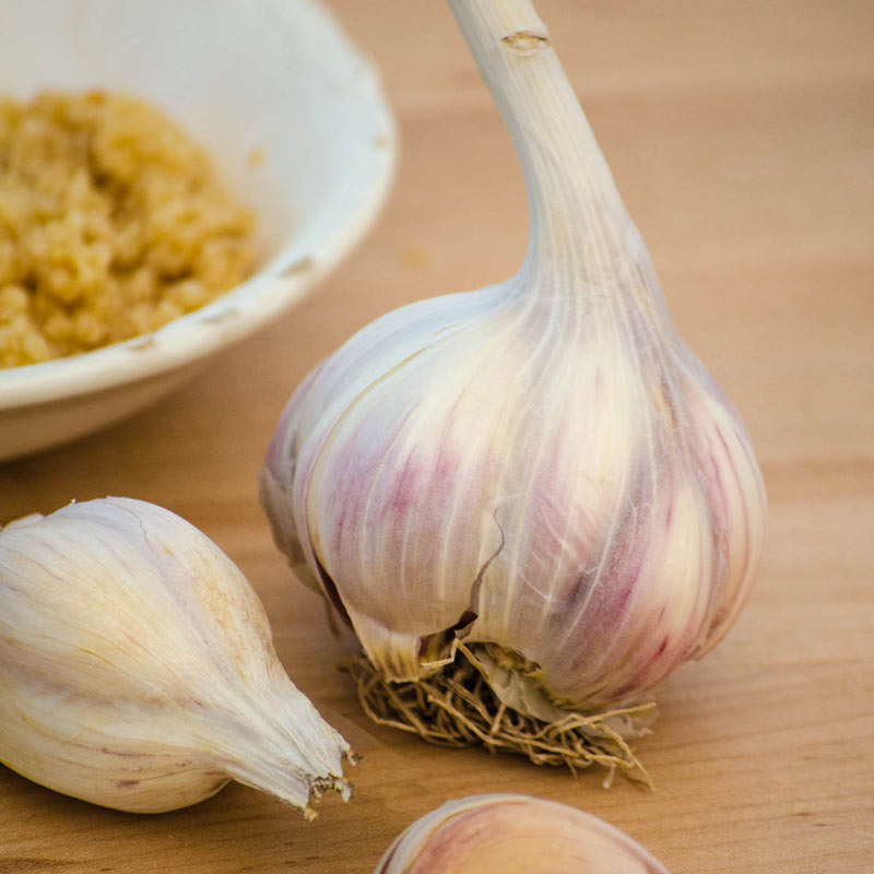 1 lb Homegrown Music Hardneck Garlic Bulbs 