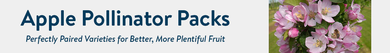 Apple Pollinator Packs