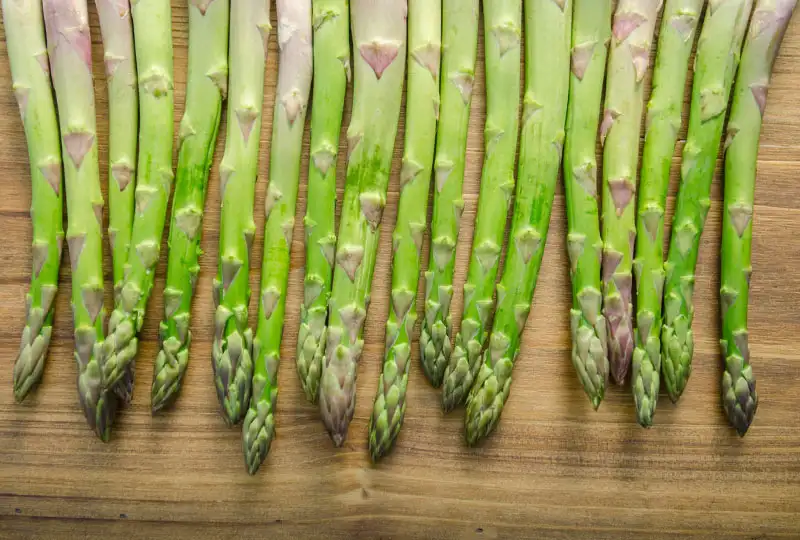 Asparagus Care and Maintenance