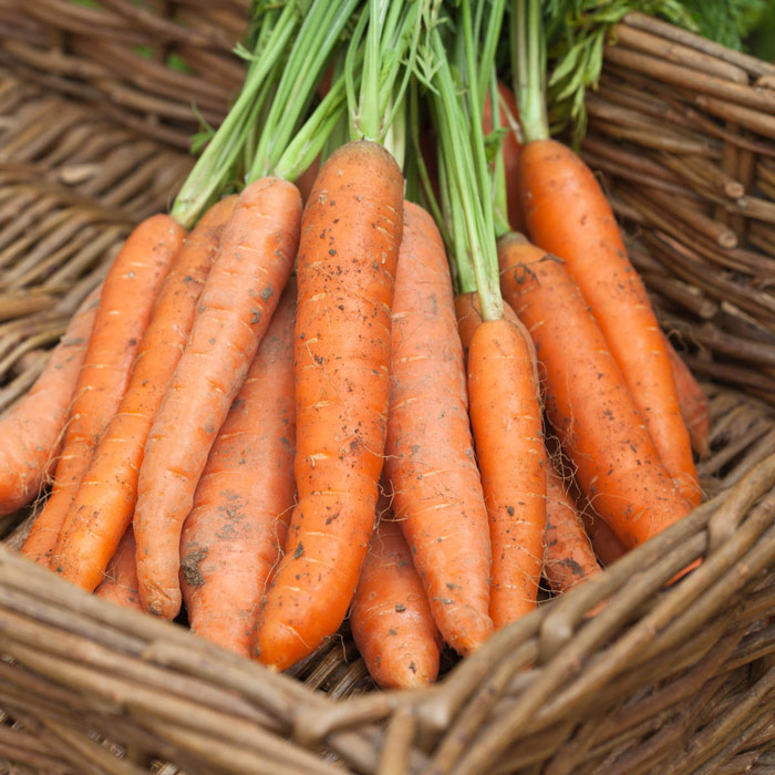 Carrots