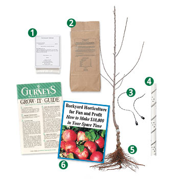 Reasons to buy Gurney's<sup>®</sup> Deluxe Fruit Trees