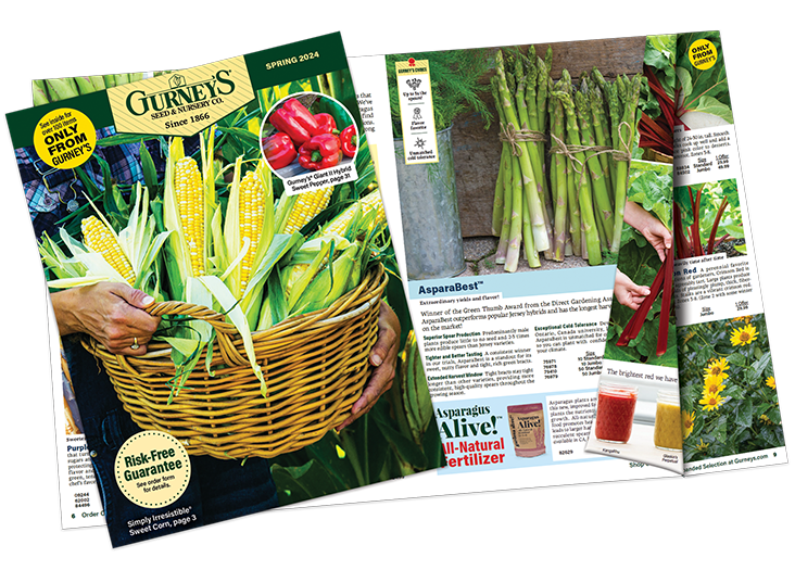 Free Seed Catalog Request Yours Today Gurney's Seed & Nursery