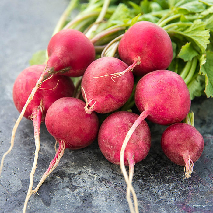 Radishes