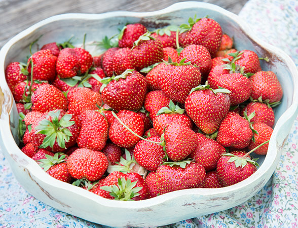 Strawberry Plants