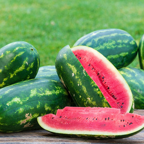 Sugar Momma Hybrid Watermelon
