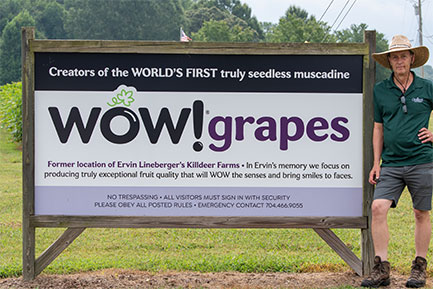  Wow Grapes Farm