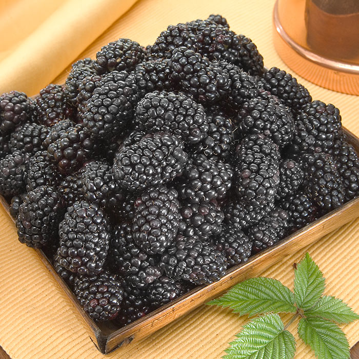 Blackberries