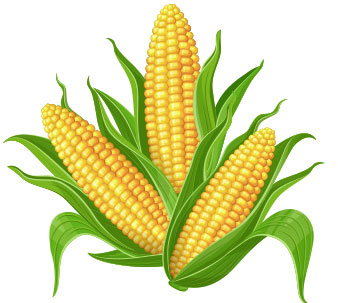 Story of Corn