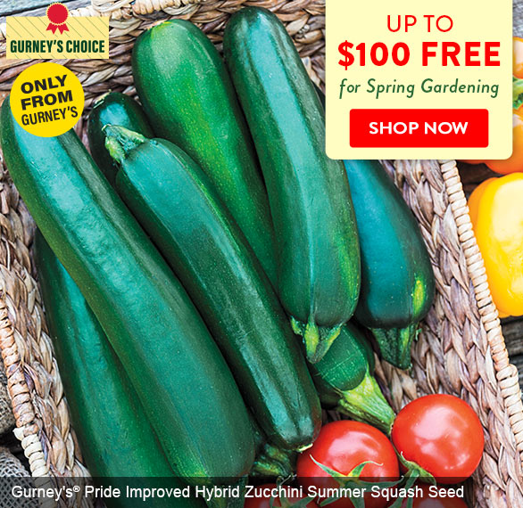 Early spring? Maybe. Your favorite coupon? YES Gurney's