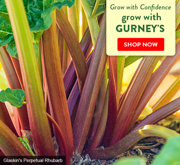 Grow with ConfidenceThanks to Gurney's Choice Selections!
