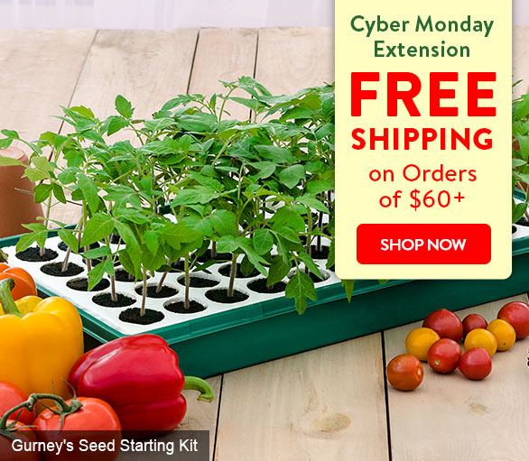 1 more day of FREE shipping! Gurney's