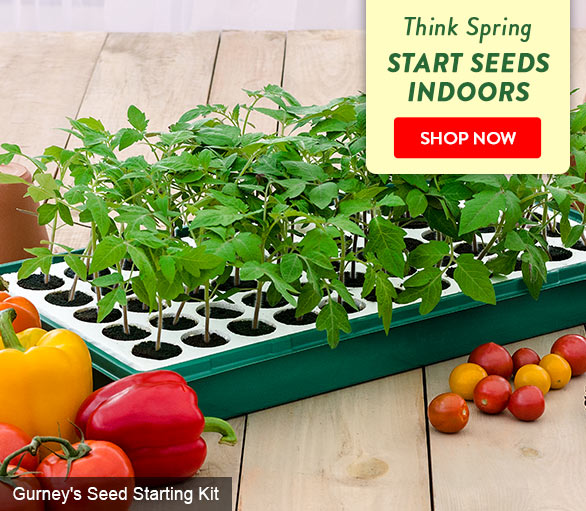 Why seed starting just makes sense... Gurney's