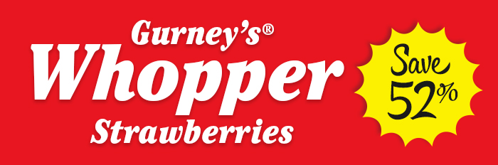 Save up to 52% on Whopper Strawberry Bundles