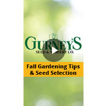 fall gardening tips & seed selection