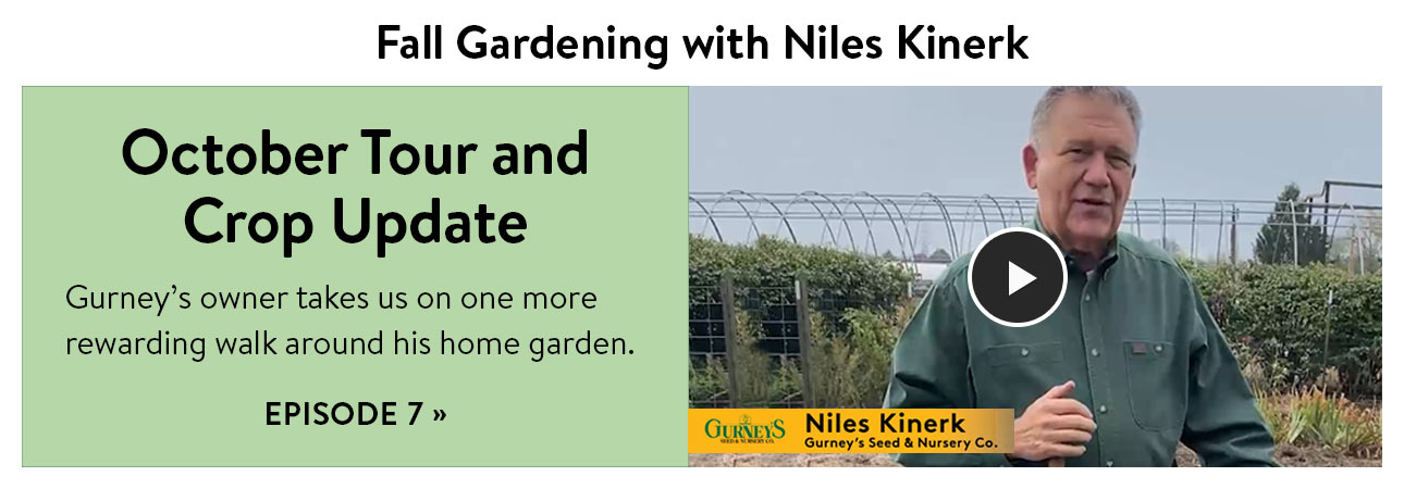 Niles' Favorites for Fall Gardening