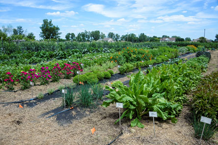 The Gurney's Farm  Gurney's Seeds & Nursery Co.