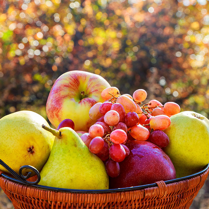 Fruit Growing Essentials