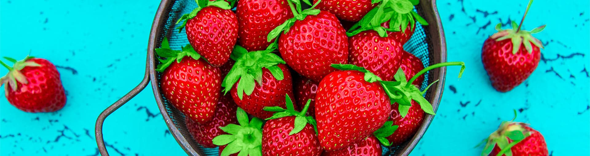 Strawberry Plants Strawberry Plants