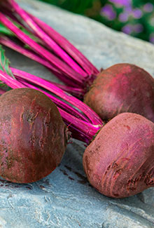 Beets