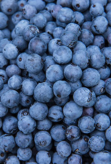 Blueberries