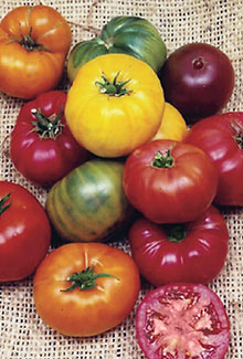 Heirloom Vegetables