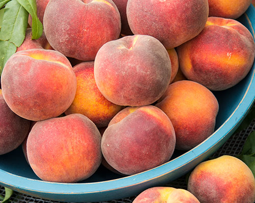 Peach and Nectarines