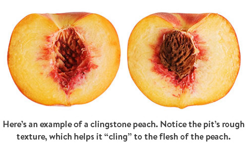 All About Peaches: The Differences Between White and Yellow Peaches,  Clingstone and Freestone Peaches