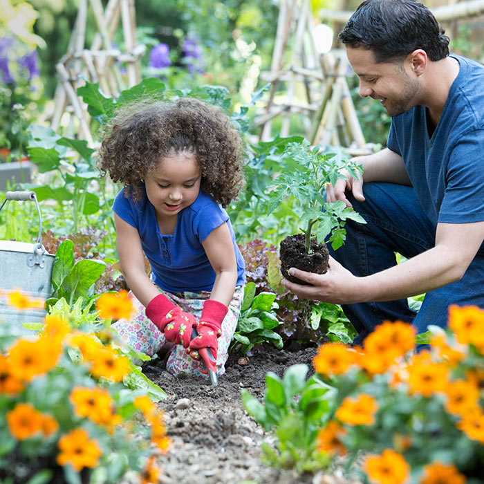 Planting and Care