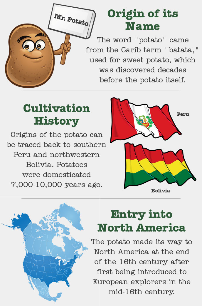 A Brief potato History