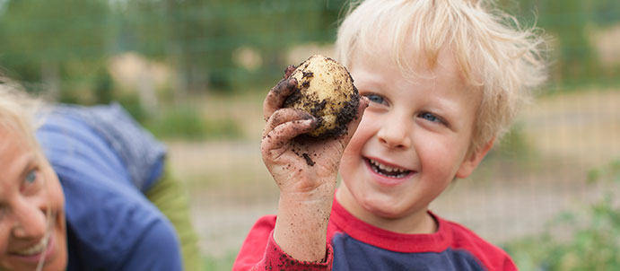 Ready to Grow Your Own Potatos?