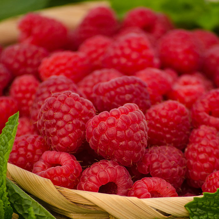 Raspberries