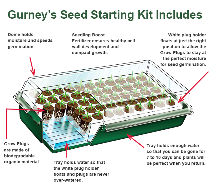 Gurney's Seed Starting kit