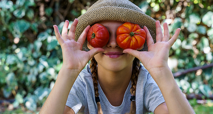 THE TOMATO