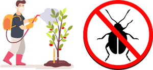 Getting rid of Flea Beetles