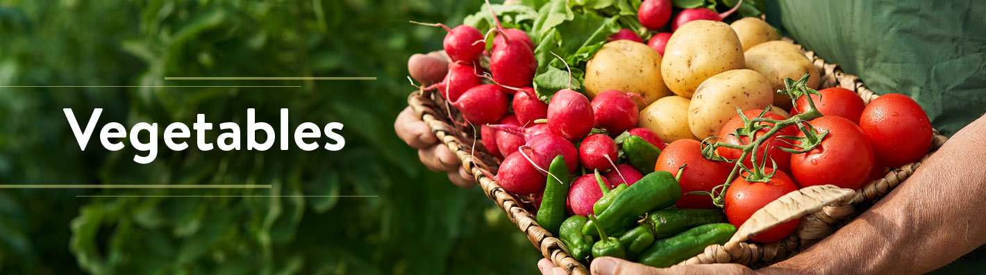 Gurneys Vegetables