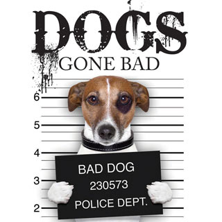 Pets Gone Bad Book - Dogs