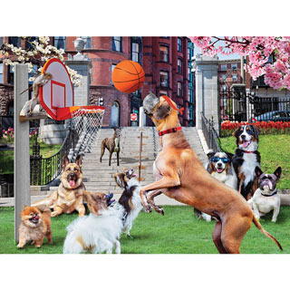 Shooting Hoops 1000 Piece Jigsaw Puzzle