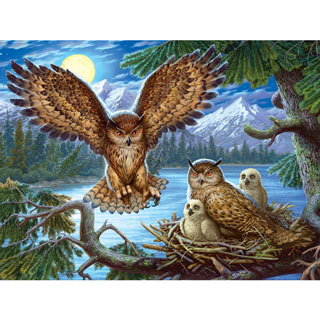 Night Owl Family 300 Large Piece Jigsaw Puzzle