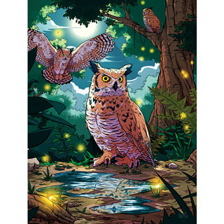 Nocturnal 300 Large Piece Jigsaw Puzzle