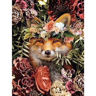 Nature's Beauty Fox 550 Piece Jigsaw Puzzle