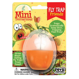 Fly Trap Friends Mini Terrariums