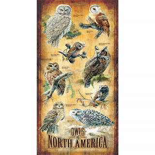 Owls Of North America 500 Piece Jigsaw Puzzle