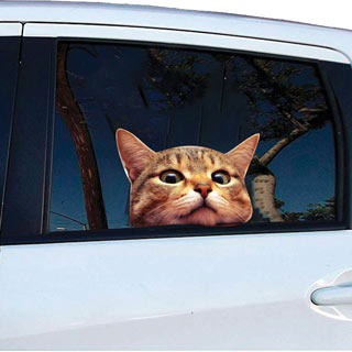Cat Car Window Decal