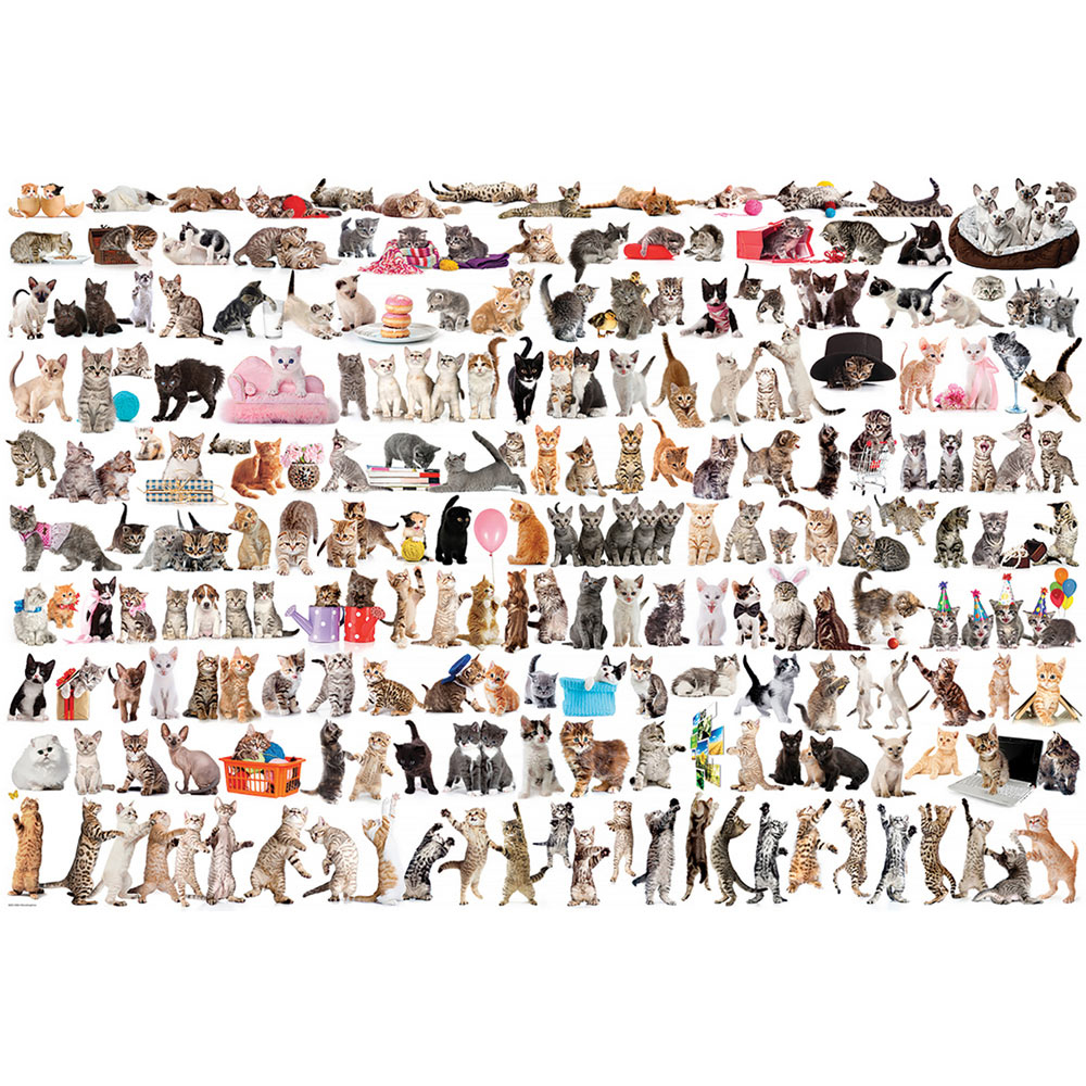 The World of Cats 2000 Piece Giant Jigsaw Puzzle