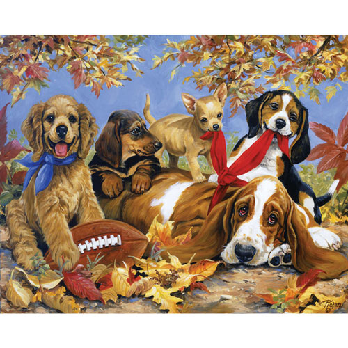 Let's Play Football 1000 Piece Jigsaw Puzzle