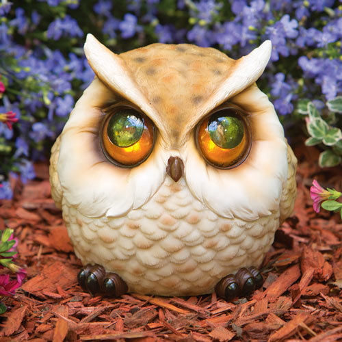 Whimsical Plump Owl