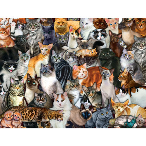 Cat Collage 300 Large Piece Pet Jigsaw Puzzle 