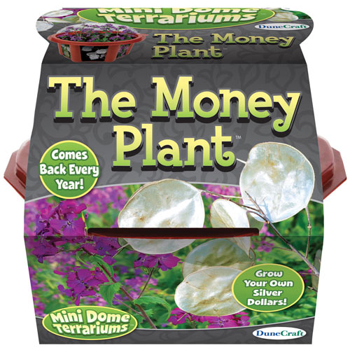 The Money Plant