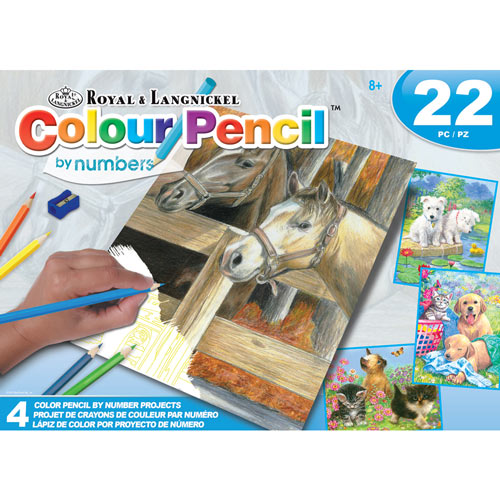 Color Pencil by Numbers Kit