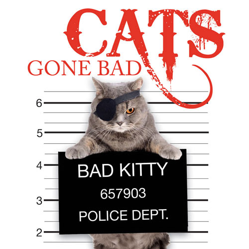 Pets Gone Bad Book - Cats